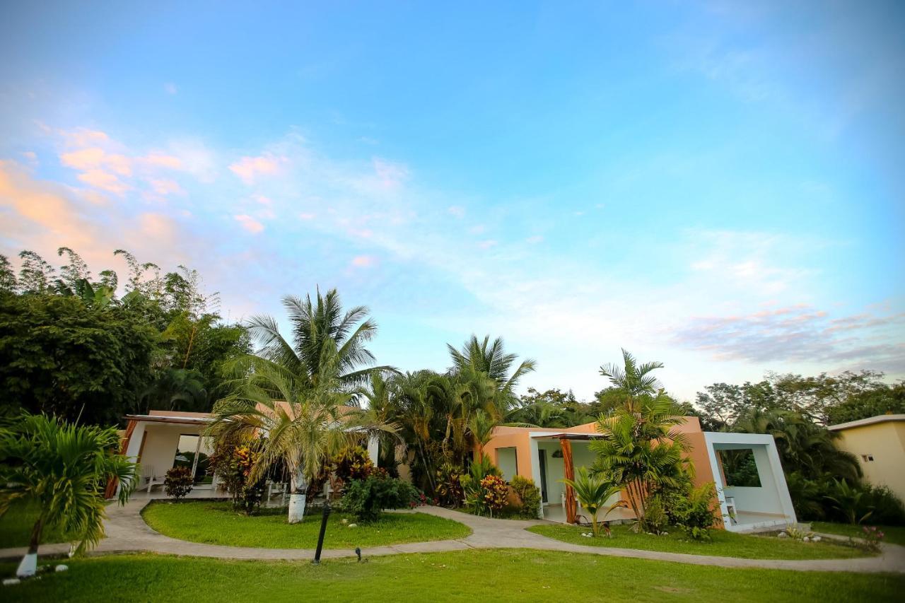 Double or Twin Room Ocean View